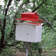 Advantages of Smart Pest Traps in Your Nut Orchard